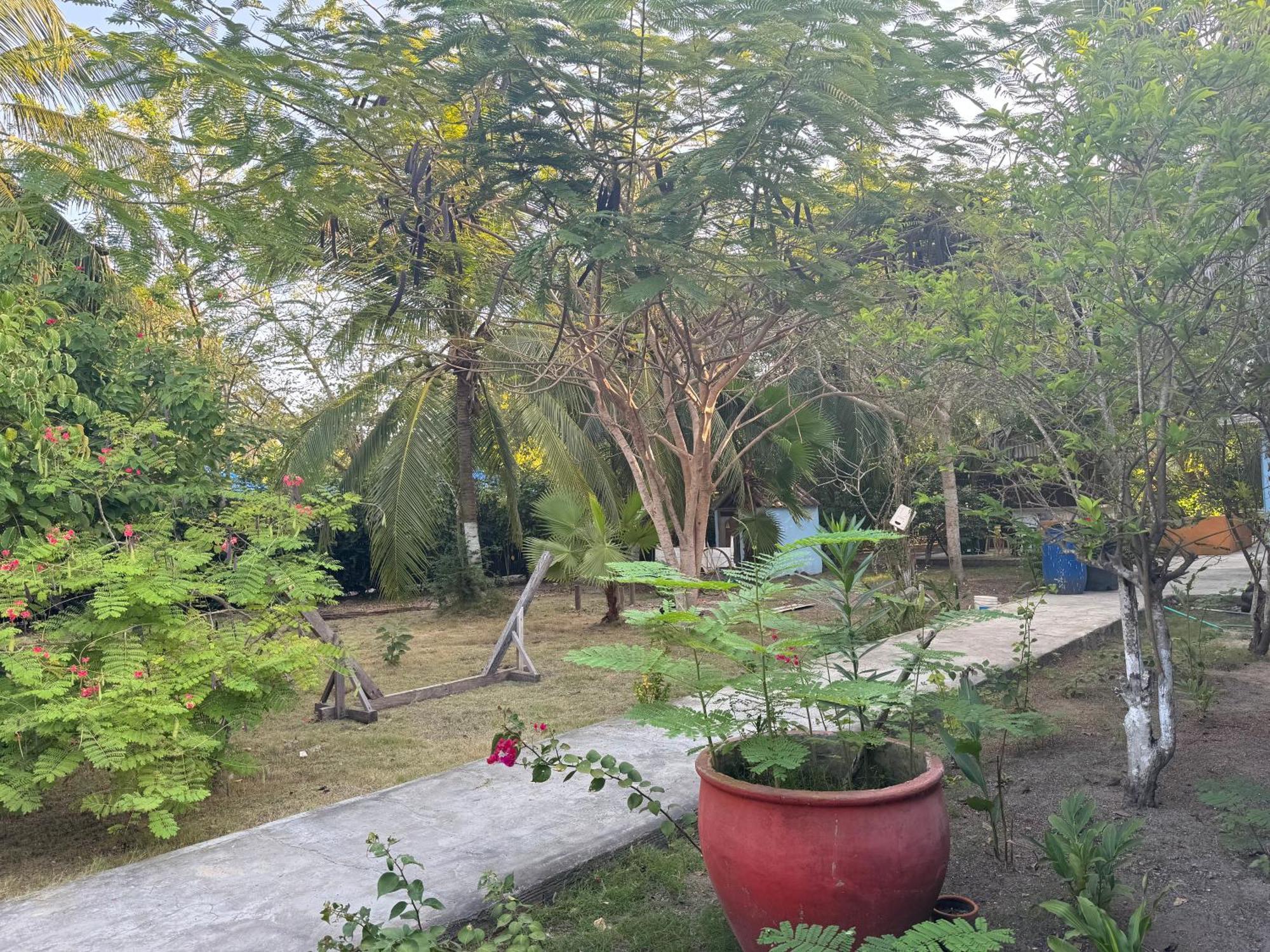 Casa Lolas House By Ctglifetravelers Isla Grande  Eksteriør billede